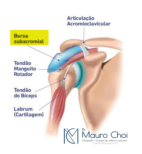 Revista Brasileira de Ortopedia - O desequilíbrio do ombro é um